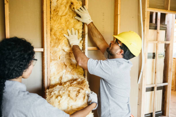 Best Crawl Space Insulation  in Hancock, MI